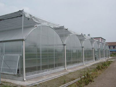 PC板农用蔬菜大棚图片